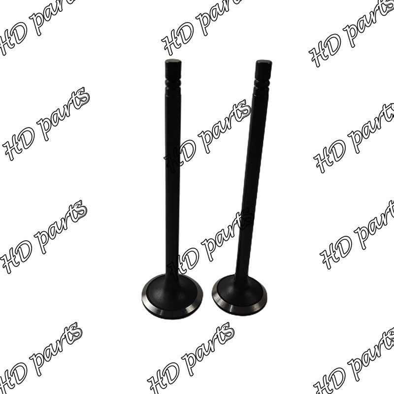 Vanne Diesel S6B S6B3 33704-10102 36204-21100 36204-41101 36204-20100 pour moteur Mitsubishi