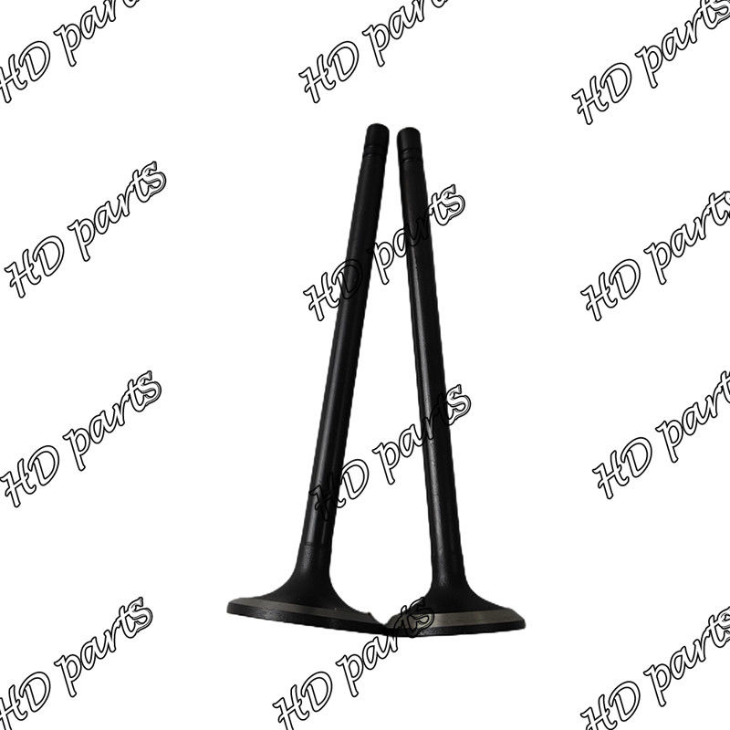 Vanne Diesel S6B S6B3 33704-10102 36204-21100 36204-41101 36204-20100 pour moteur Mitsubishi
