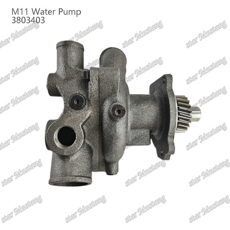 Pompes à eau M11 4955706 4926553 Arbre court Pour les pièces de réparation de moteurs diesel CUMMINS