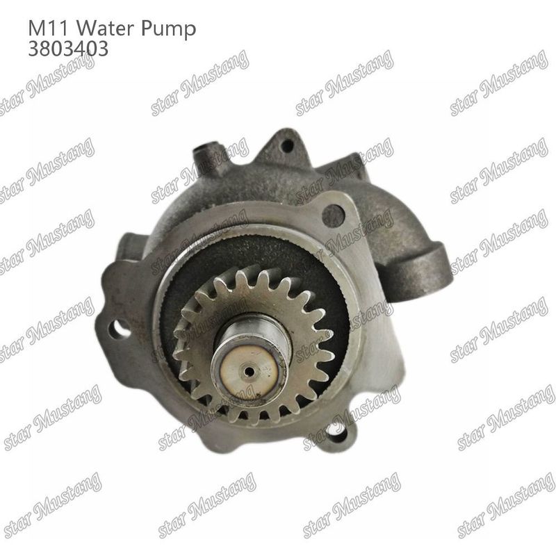 Pompes à eau M11 4955706 4926553 Arbre court Pour les pièces de réparation de moteurs diesel CUMMINS