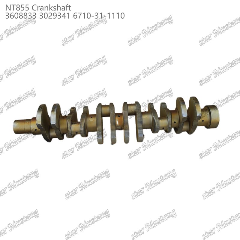 Arbre à manivelle NT855 Acier forgé 3608833 3029341 6710-31-1110 Pour pièces de moteurs diesel Cummins
