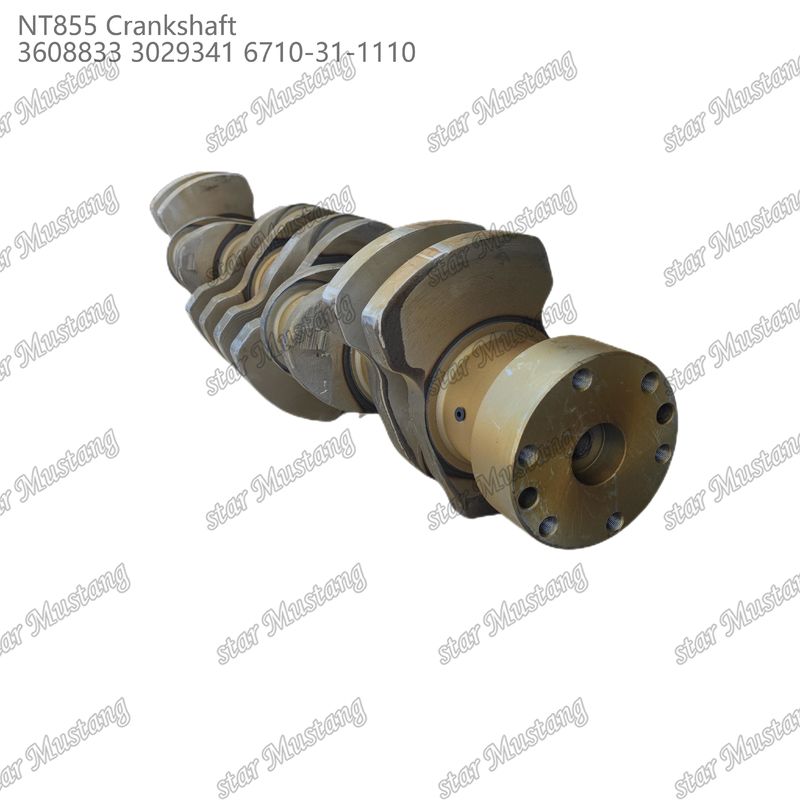 Arbre à manivelle NT855 Acier forgé 3608833 3029341 6710-31-1110 Pour pièces de moteurs diesel Cummins
