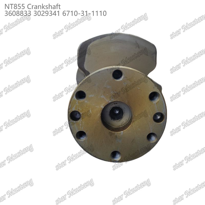 Arbre à manivelle NT855 Acier forgé 3608833 3029341 6710-31-1110 Pour pièces de moteurs diesel Cummins