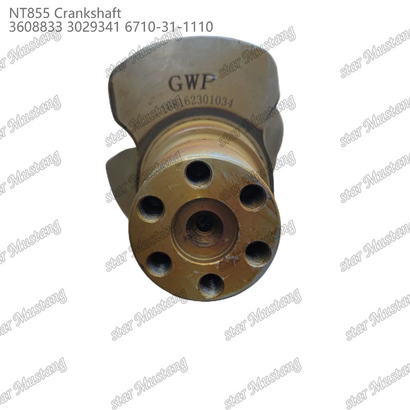 Arbre à manivelle NT855 Acier forgé 3608833 3029341 6710-31-1110 Pour pièces de moteurs diesel Cummins