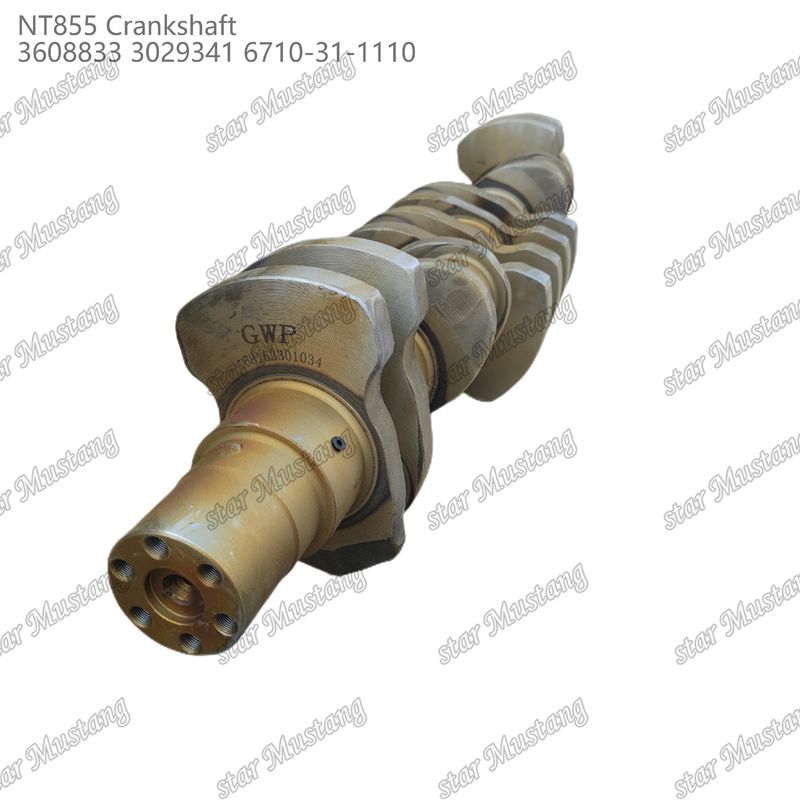 Arbre à manivelle NT855 Acier forgé 3608833 3029341 6710-31-1110 Pour pièces de moteurs diesel Cummins