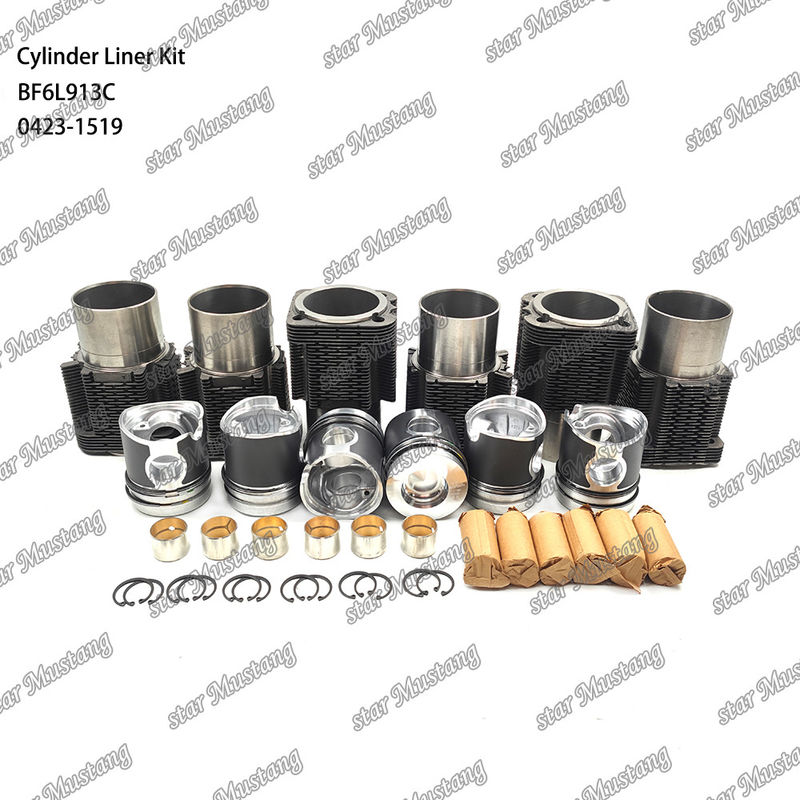 Kit de revêtement de type moteur diesel en état neuf pour BF6L913C 0423-1519