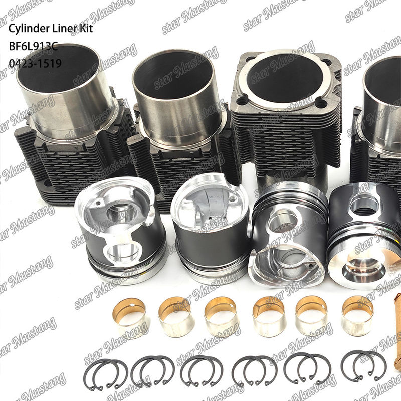 Kit de revêtement de type moteur diesel en état neuf pour BF6L913C 0423-1519