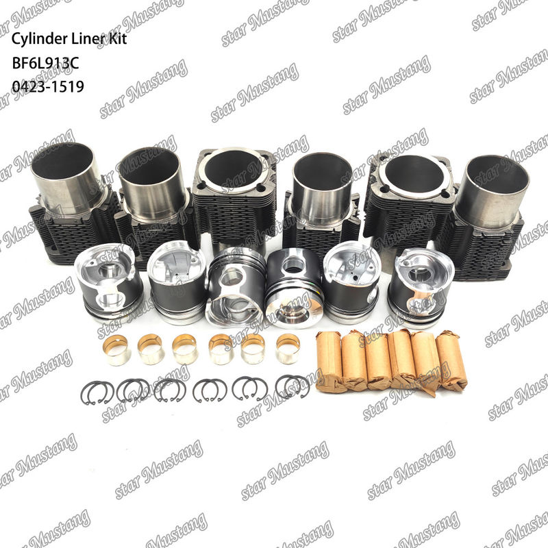 Kit de revêtement de type moteur diesel en état neuf pour BF6L913C 0423-1519