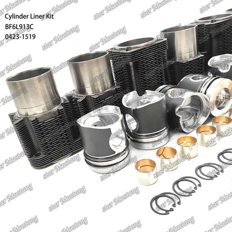 Kit de revêtement de type moteur diesel en état neuf pour BF6L913C 0423-1519