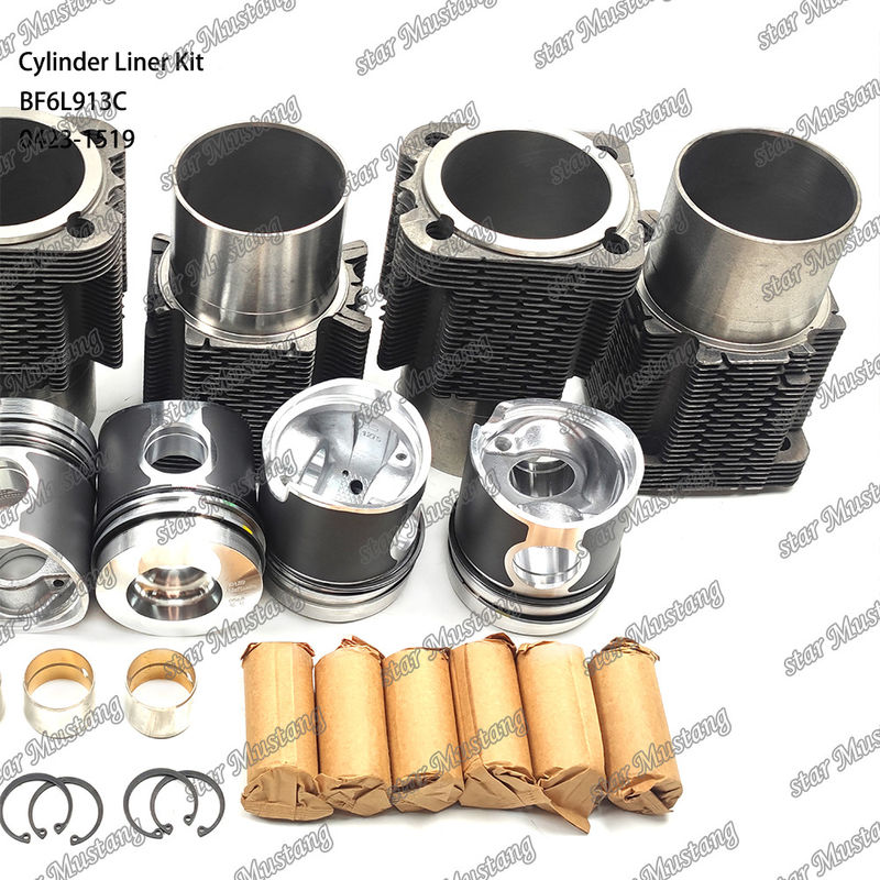 Kit de revêtement de type moteur diesel en état neuf pour BF6L913C 0423-1519