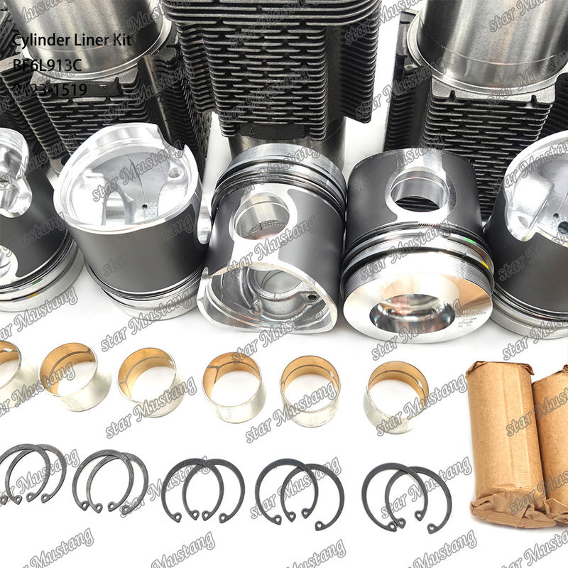 Kit de revêtement de type moteur diesel en état neuf pour BF6L913C 0423-1519