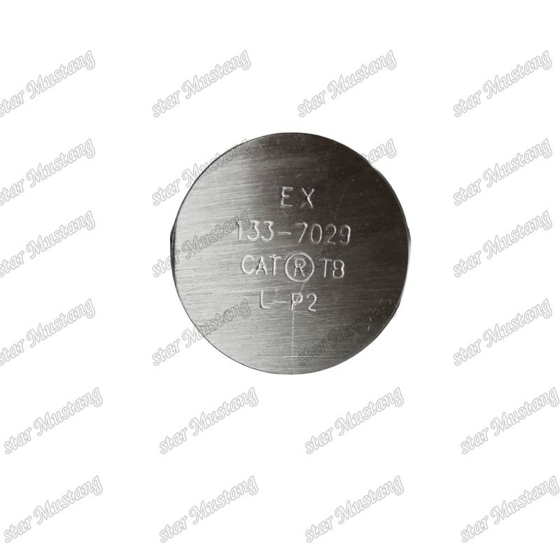 3176C C10 IN 7E9578 EX 133-7029 Vanne pour pièces détachées de moteur Caterpillar