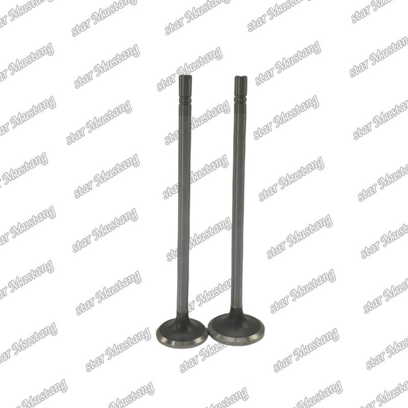 Ventile C15 dans le 153-7023 ex 153-7024 Convient pour les pièces de rechange de moteur Caterpillar