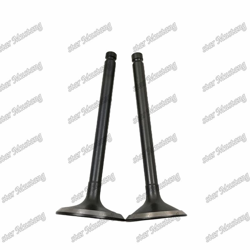 Valve 3KR1 8941190881 8-94119088-1 5125520462 5-12552046-2 Pour les pièces détachées des moteurs Isuzu
