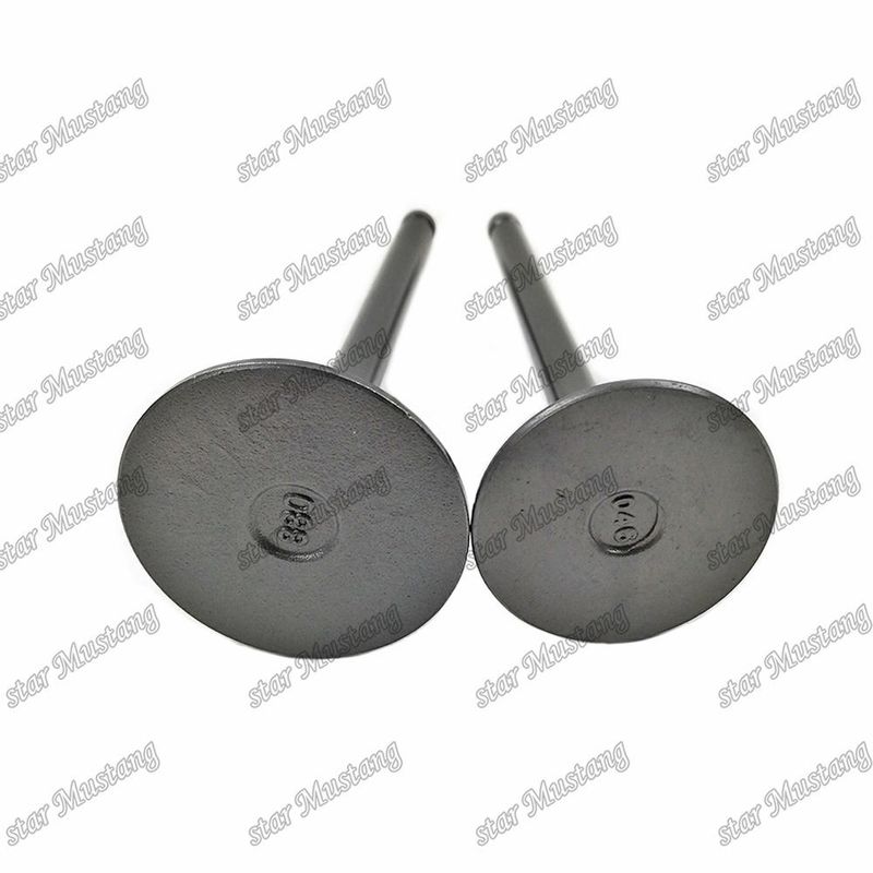 Valve 3KR1 8941190881 8-94119088-1 5125520462 5-12552046-2 Pour les pièces détachées des moteurs Isuzu