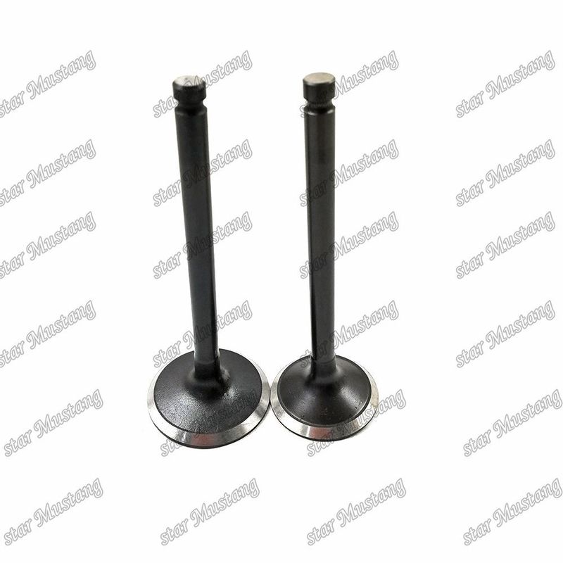 Valve 3KR1 8941190881 8-94119088-1 5125520462 5-12552046-2 Pour les pièces détachées des moteurs Isuzu