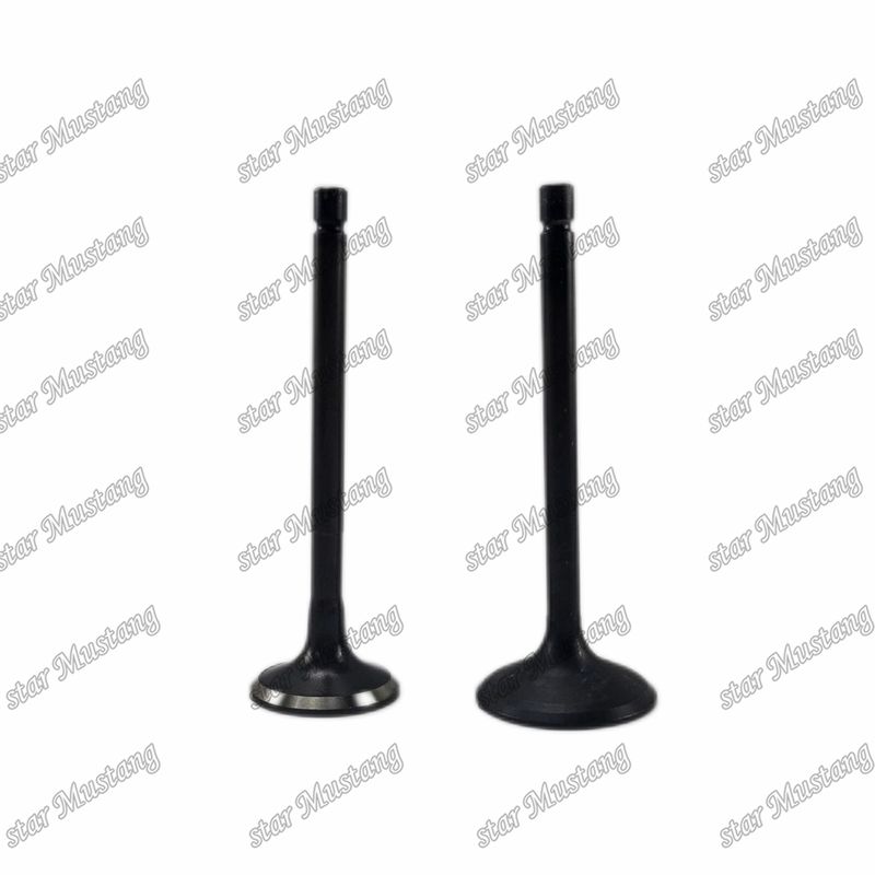 Valve 4JG2 8-97131729-2 8-97080214-1 Convient pour les pièces de rechange des moteurs Isuzu