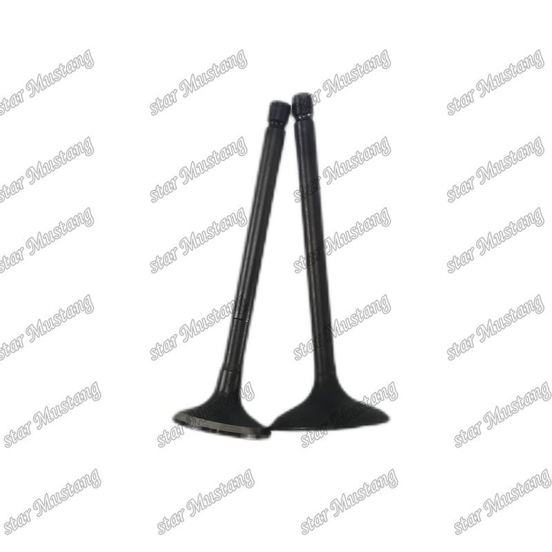 Valve 4JG2 8-97131729-2 8-97080214-1 Convient pour les pièces de rechange des moteurs Isuzu
