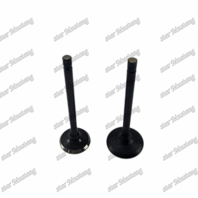 Valve 4JG2 8-97131729-2 8-97080214-1 Convient pour les pièces de rechange des moteurs Isuzu