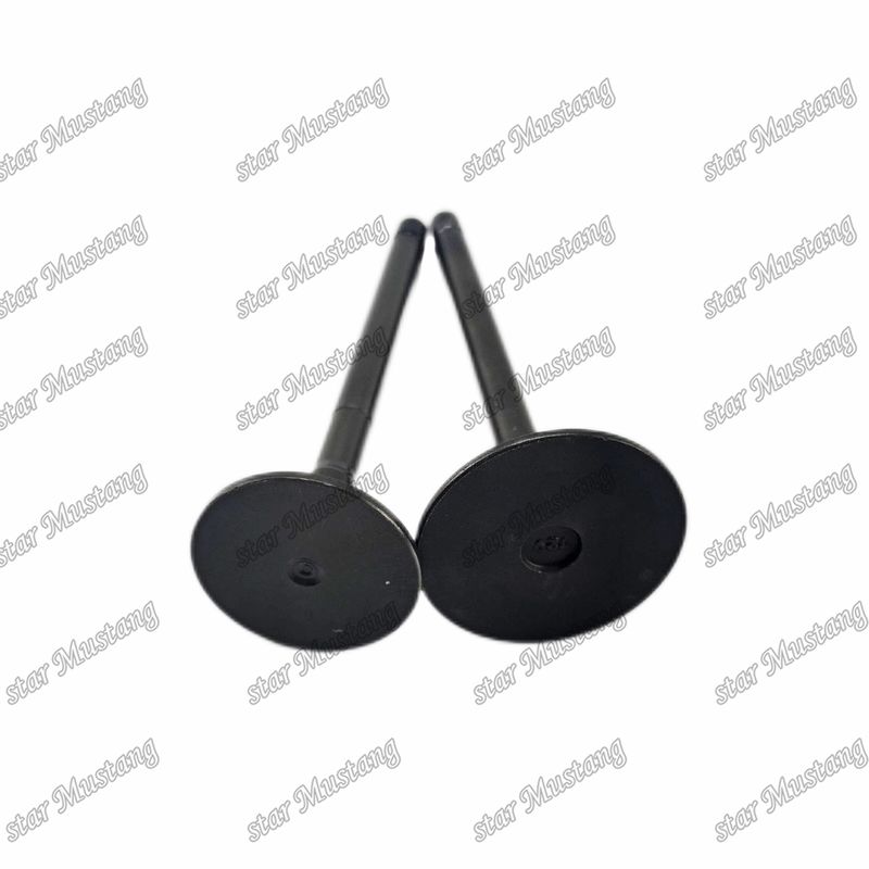 Valve 4JG2 8-97131729-2 8-97080214-1 Convient pour les pièces de rechange des moteurs Isuzu