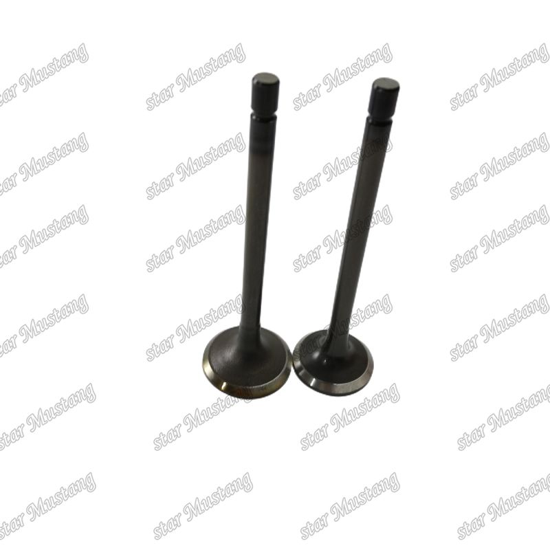 Valve 4JJ1 8-97309-675-1 8-97309-677-1 Pour les pièces détachées des moteurs Isuzu
