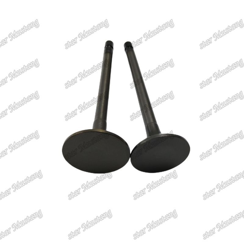 Valve 4JJ1 8-97309-675-1 8-97309-677-1 Pour les pièces détachées des moteurs Isuzu