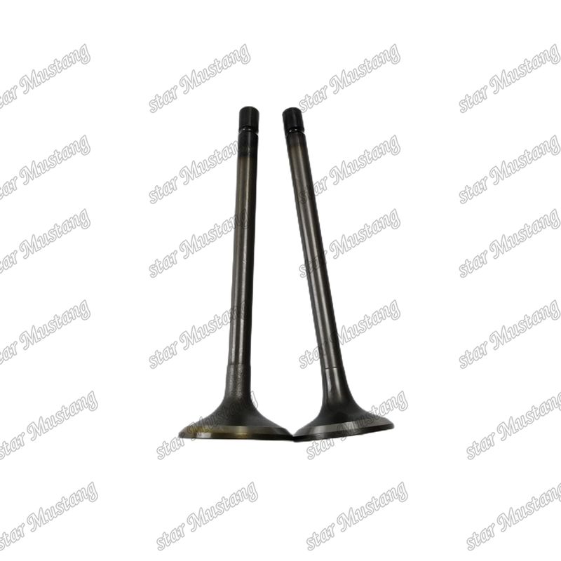 Valve 4JJ1 8-97309-675-1 8-97309-677-1 Pour les pièces détachées des moteurs Isuzu