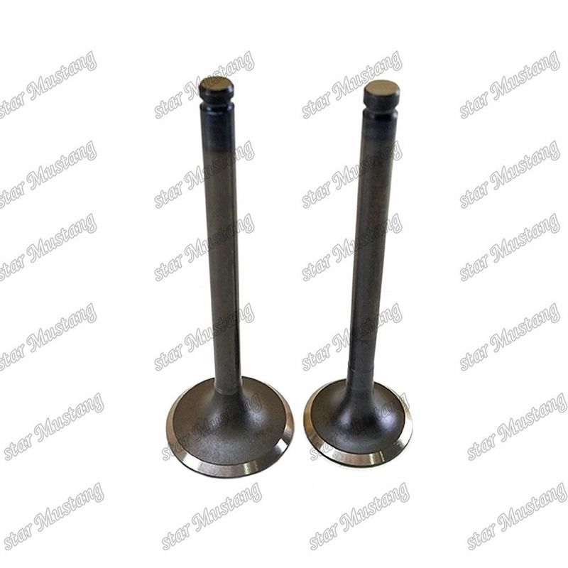 Valve C240 IN 5-12551-028-0 EX 5-12552-034-0 Convient pour les pièces détachées des moteurs Isuzu