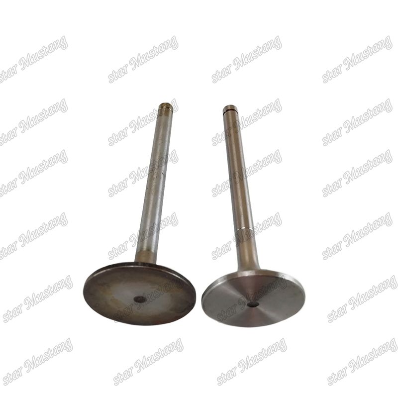 Valve EK100 EK130 EF750 13715-1060 13711-1450 Convient pour les pièces détachées du moteur Hino