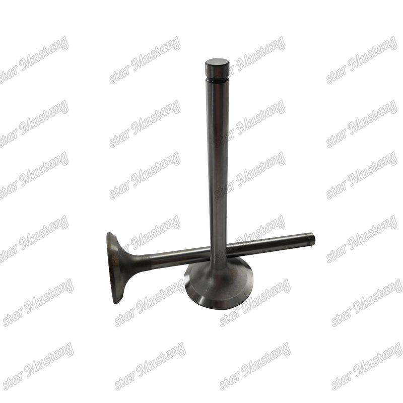 Valve EK100 EK130 EF750 13715-1060 13711-1450 Convient pour les pièces détachées du moteur Hino