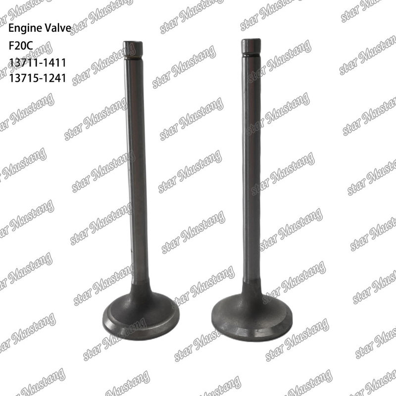VALVE du moteur F20C 13711-1411 13715-1241 Convient pour les pièces de rechange du moteur Hino