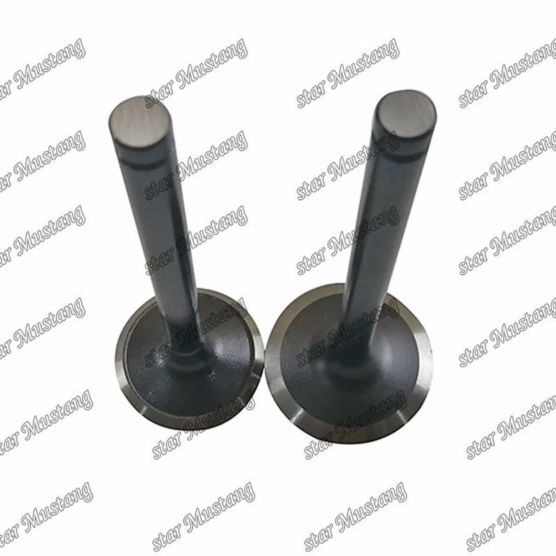 Valve W06D W06E 13711-1521 13715-1570 Convient pour les pièces détachées du moteur Hino