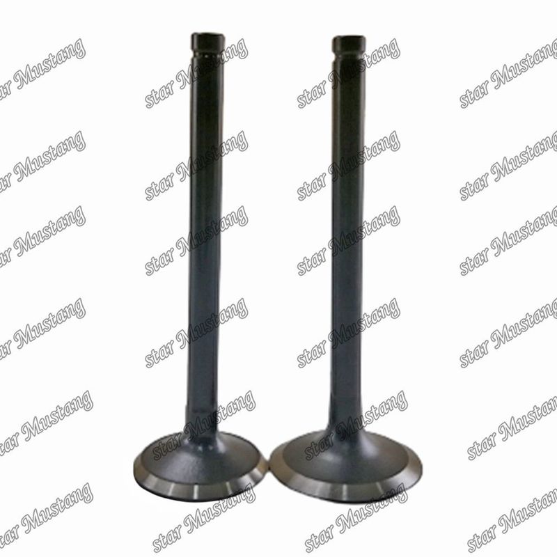 Valve W06D W06E 13711-1521 13715-1570 Convient pour les pièces détachées du moteur Hino