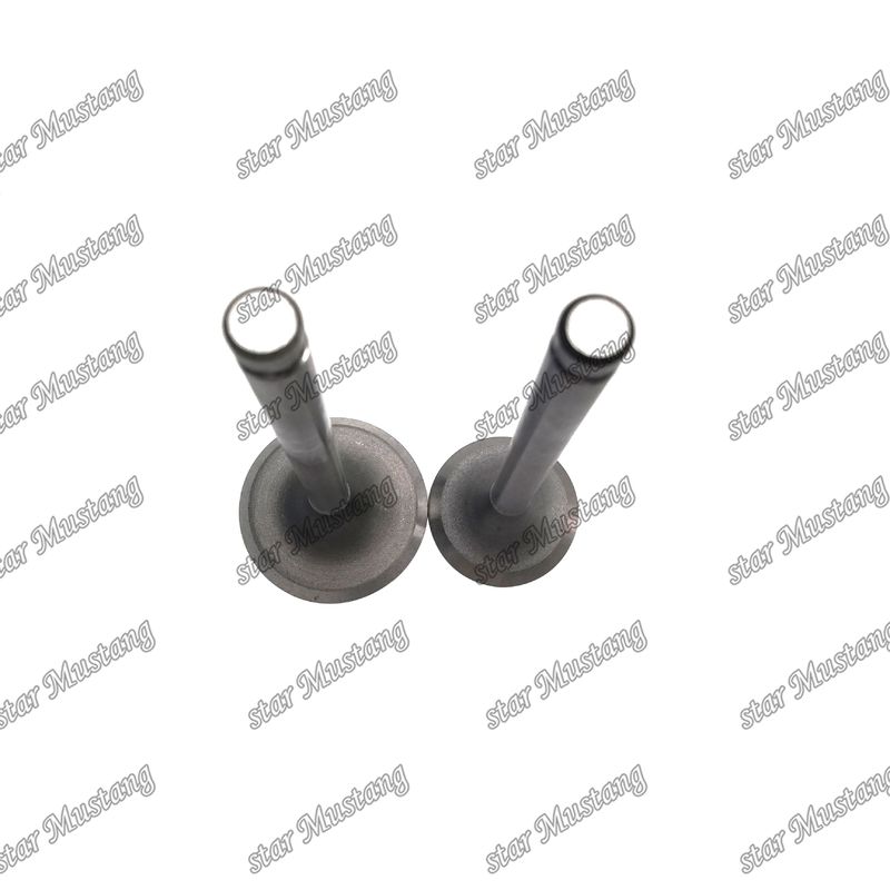 VALVE DE MOTEUR DB33 65.02500-0001 65.02500-0002 Convient pour les pièces détachées du moteur Doosan