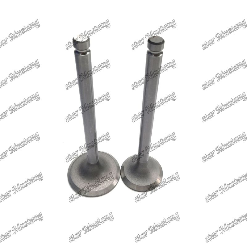 VALVE DE MOTEUR DB33 65.02500-0001 65.02500-0002 Convient pour les pièces détachées du moteur Doosan