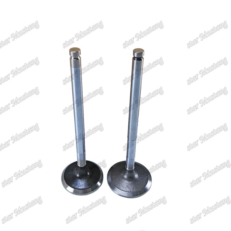 Valve diesel DE08 IN 65.01611-2031 EX 65.01611-2042 Convient pour les pièces détachées du moteur Doosan