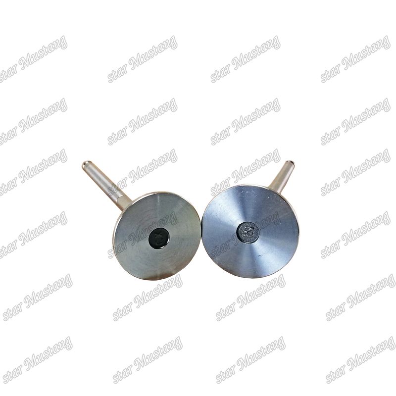 Valve diesel DE08 IN 65.01611-2031 EX 65.01611-2042 Convient pour les pièces détachées du moteur Doosan
