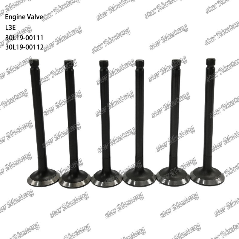 L3E 30L19-00111 30L19-00112 soupape pour moteur diesel adaptée aux pièces détachées Mitsubishi