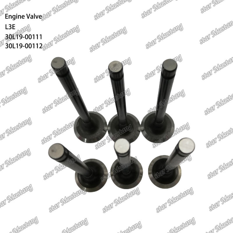 L3E 30L19-00111 30L19-00112 soupape pour moteur diesel adaptée aux pièces détachées Mitsubishi