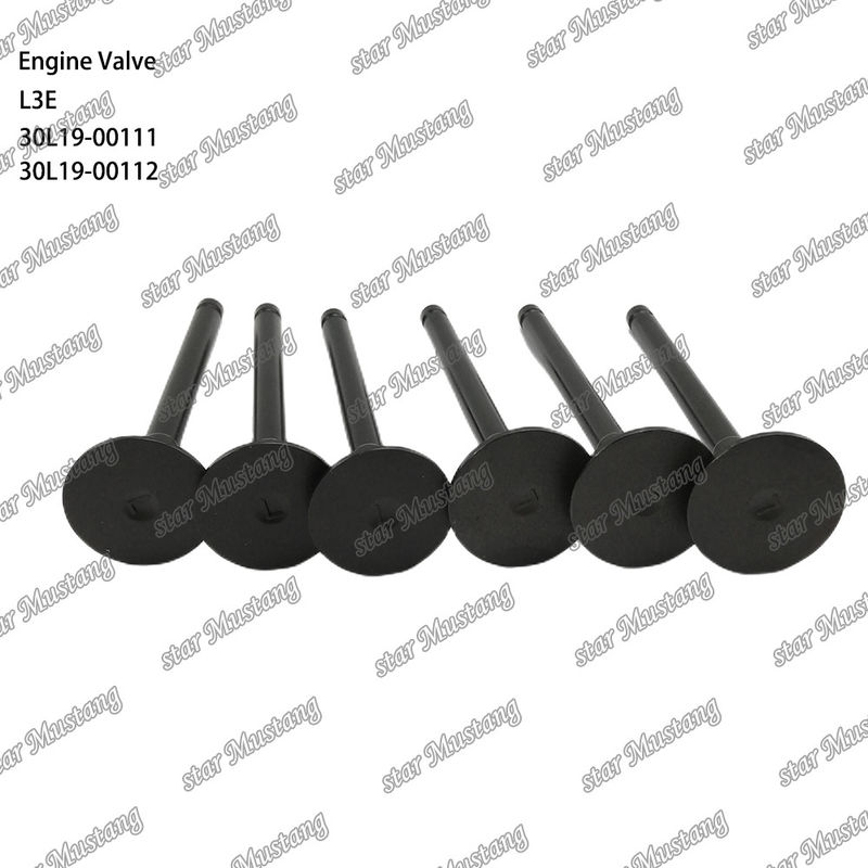 L3E 30L19-00111 30L19-00112 soupape pour moteur diesel adaptée aux pièces détachées Mitsubishi