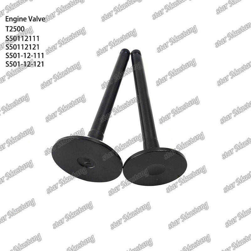 Valve de structure intégrale de stock original T2500 S50112111 S50112121 S501-12-111 S501-12-121 Partie du moteur