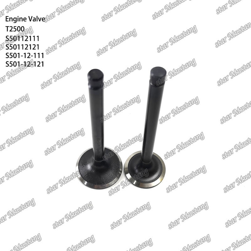 Valve de structure intégrale de stock original T2500 S50112111 S50112121 S501-12-111 S501-12-121 Partie du moteur