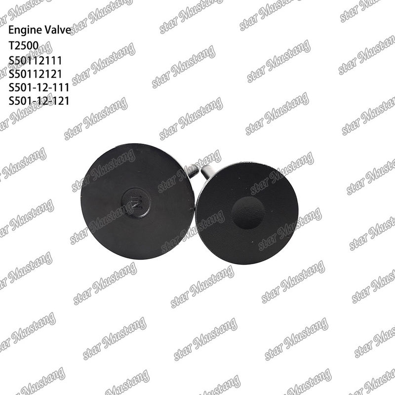 Valve de structure intégrale de stock original T2500 S50112111 S50112121 S501-12-111 S501-12-121 Partie du moteur