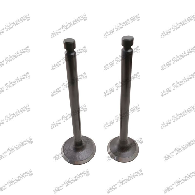 Valve à structure intégrale 6D24 ME051063 ME051064 Moteur diesel Partie originale en stock avec support en ligne Après