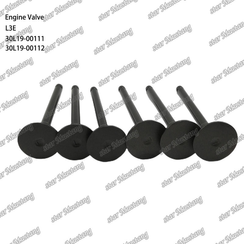 L3E 30L19-00111 30L19-00112 Pièce de moteur diesel Stock d'origine avec support en ligne après