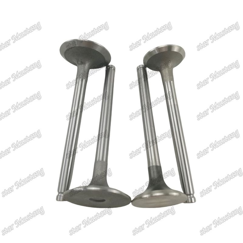 Vanne de structure intégrale 1004 3142L072 3142A051 Pièce de moteur diesel Stock d'origine avec support en ligne après