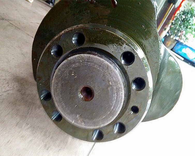 65.02101-0056 65.02101-7025 Pièces de moteurs diesel D2366 Pour excavatrice Camion Vilebrequin