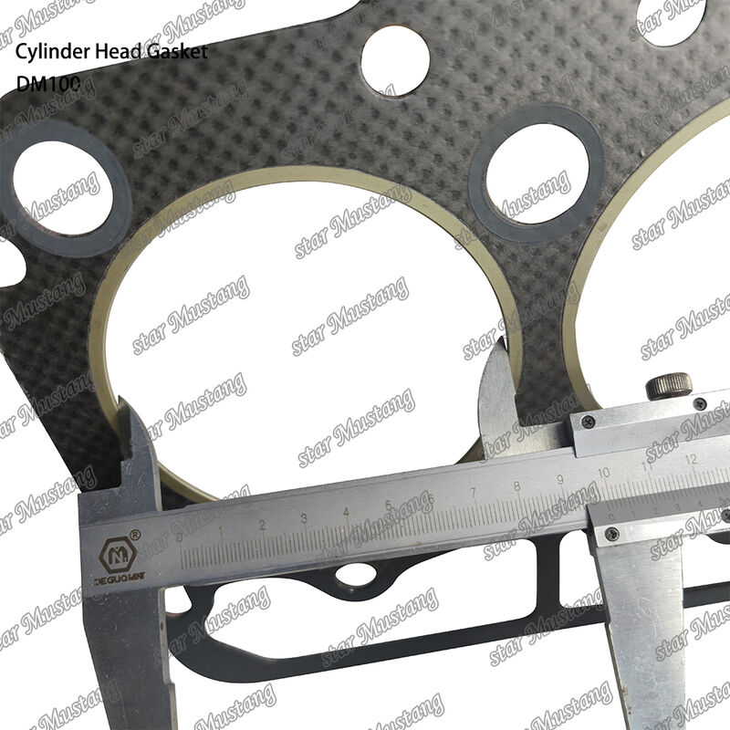 DM100 Head Gasket for Diesel Engine with Integral Structure and OEM Size